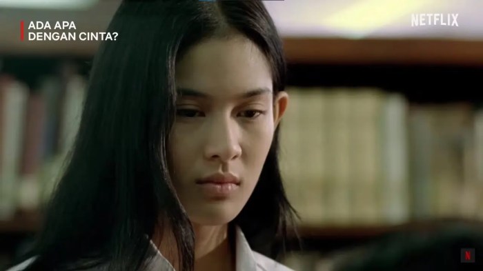 Ulasan chemistry Nicholas Saputra dan Dian Sastro di film AADC